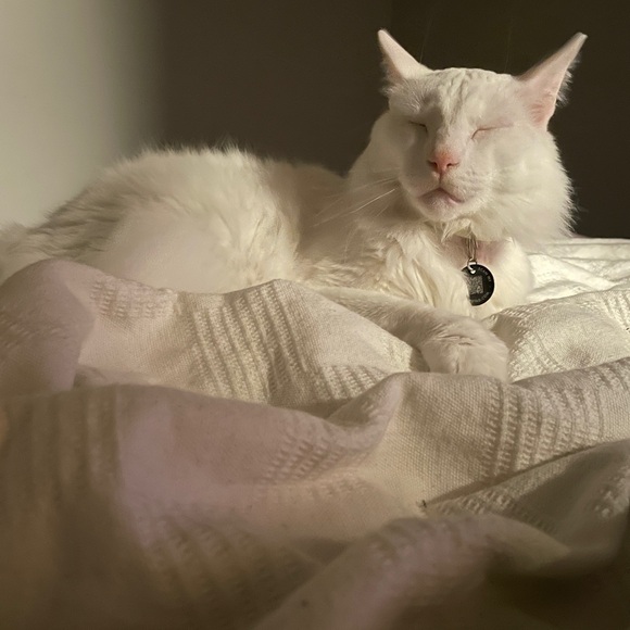 Hey yall!  HUGE VARIETY SIZES AND STYLES! accepting sunny fair offer s!!!! - Picture 13 of 15